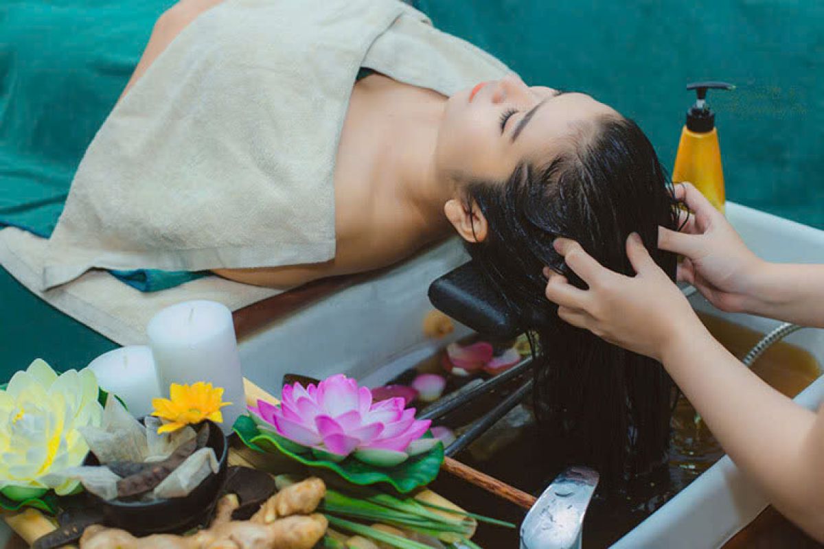 Gội đầu dưỡng sinh